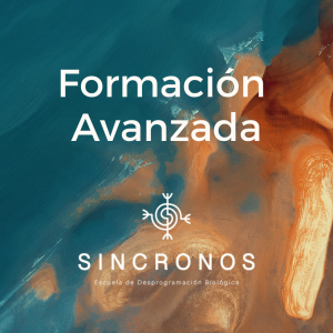 Formación Avanzada - 9 cuotas
