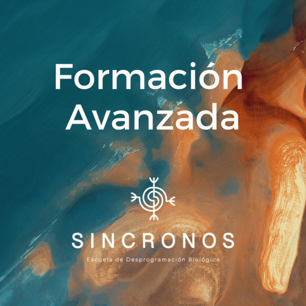 Formación Avanzada - 9 cuotas