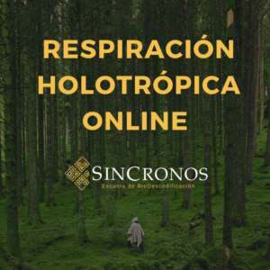 Sesión de Respiración Holotrópica Sincronos
